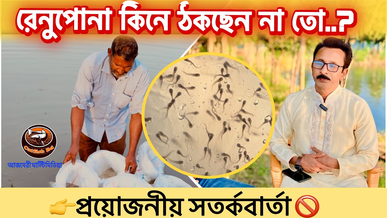 রেনুপোনা কিনতে গিয়ে চাষিদের বড় ভুল | নতুন মৌসুমে জরুরী সতর্কবার্তা | catfish bd