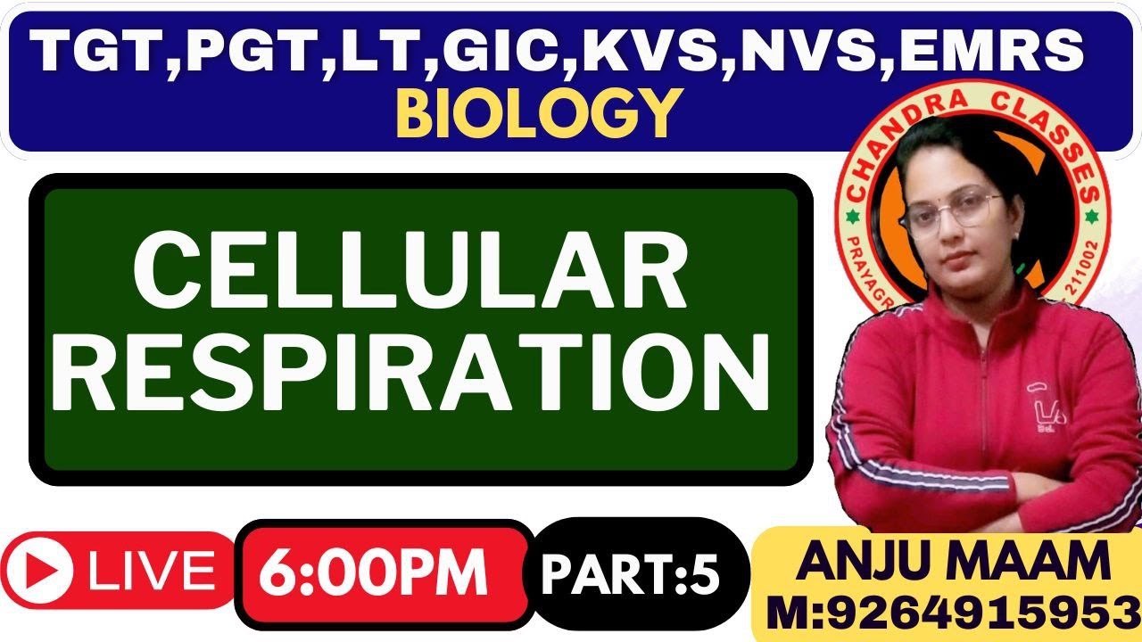 CELLULAR RESPIRATION || PART 5 || BY ANJU MAM