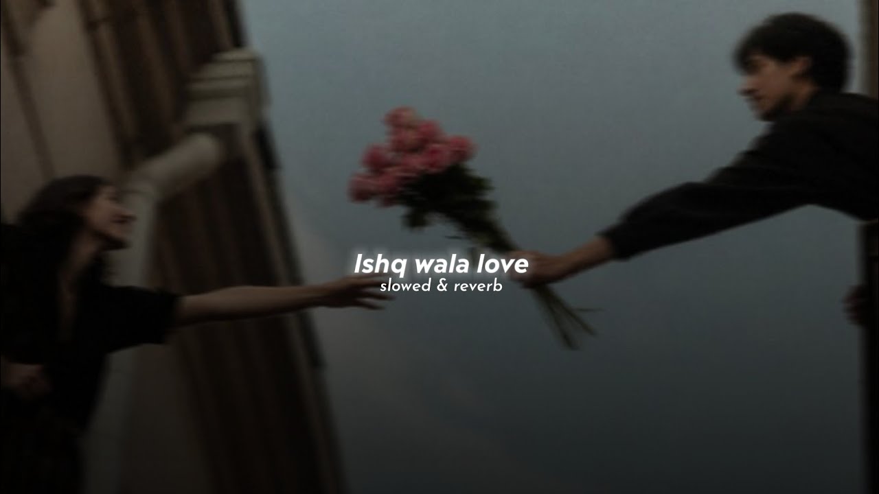 neeti mohan, salim merchant, shekhar ravjiani - ishq wala love (slowed+ reverb)