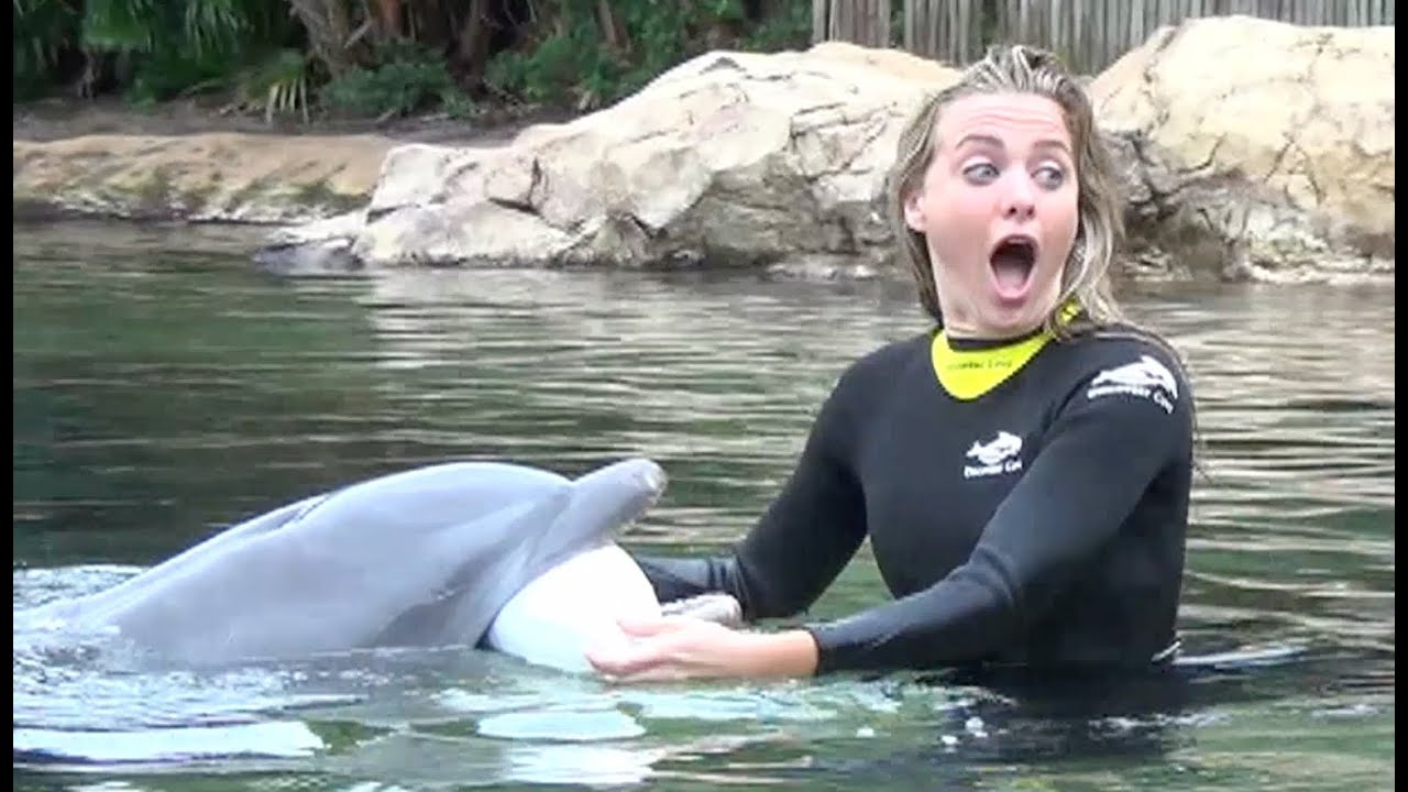 Dolphin helps baseball pitcher propose to girlfriend at Discovery Cove theme park