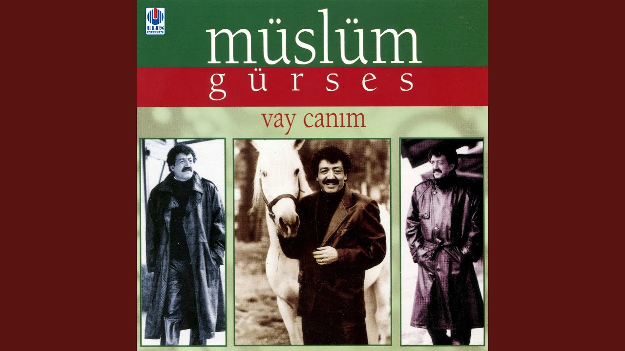 Vay Canım Vay