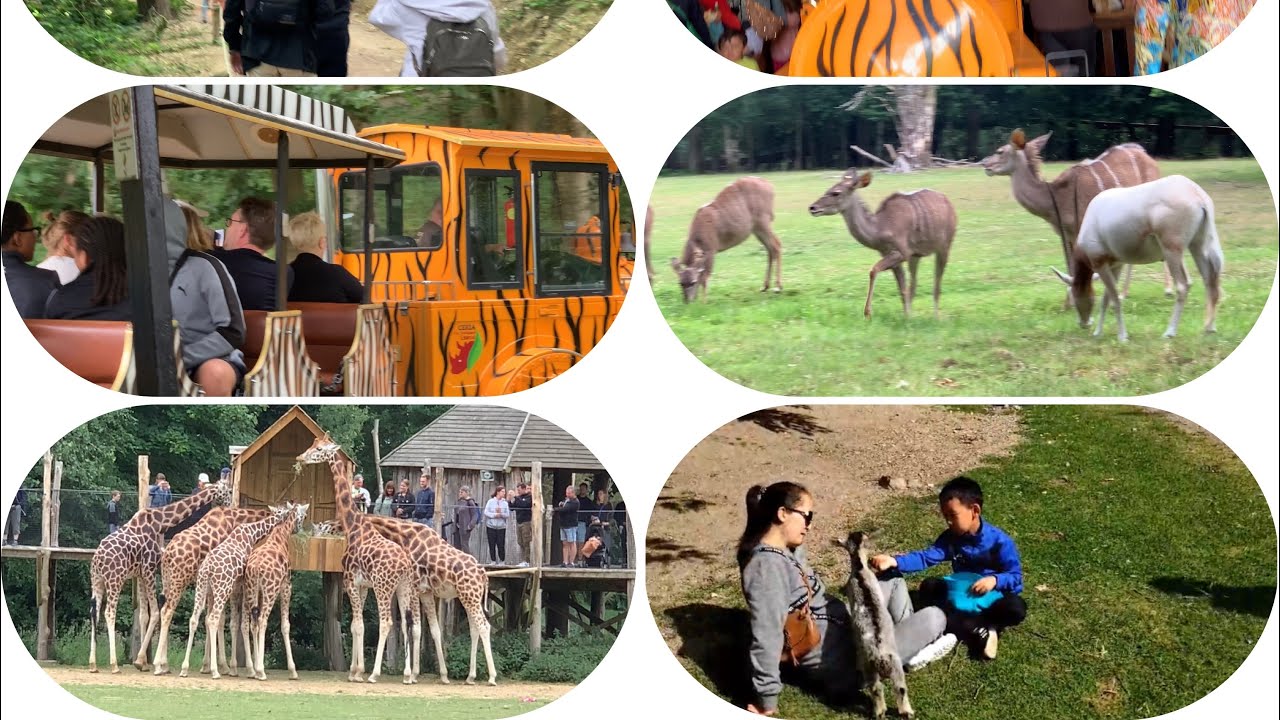 zoo de cerza Normandie