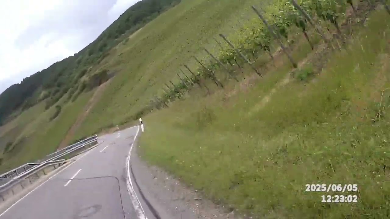 Mosel   Leiwen and Trittenheim June 2025