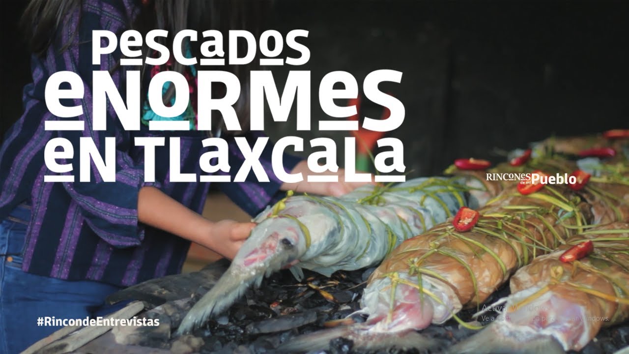 Pescados enormes en Tlaxcala