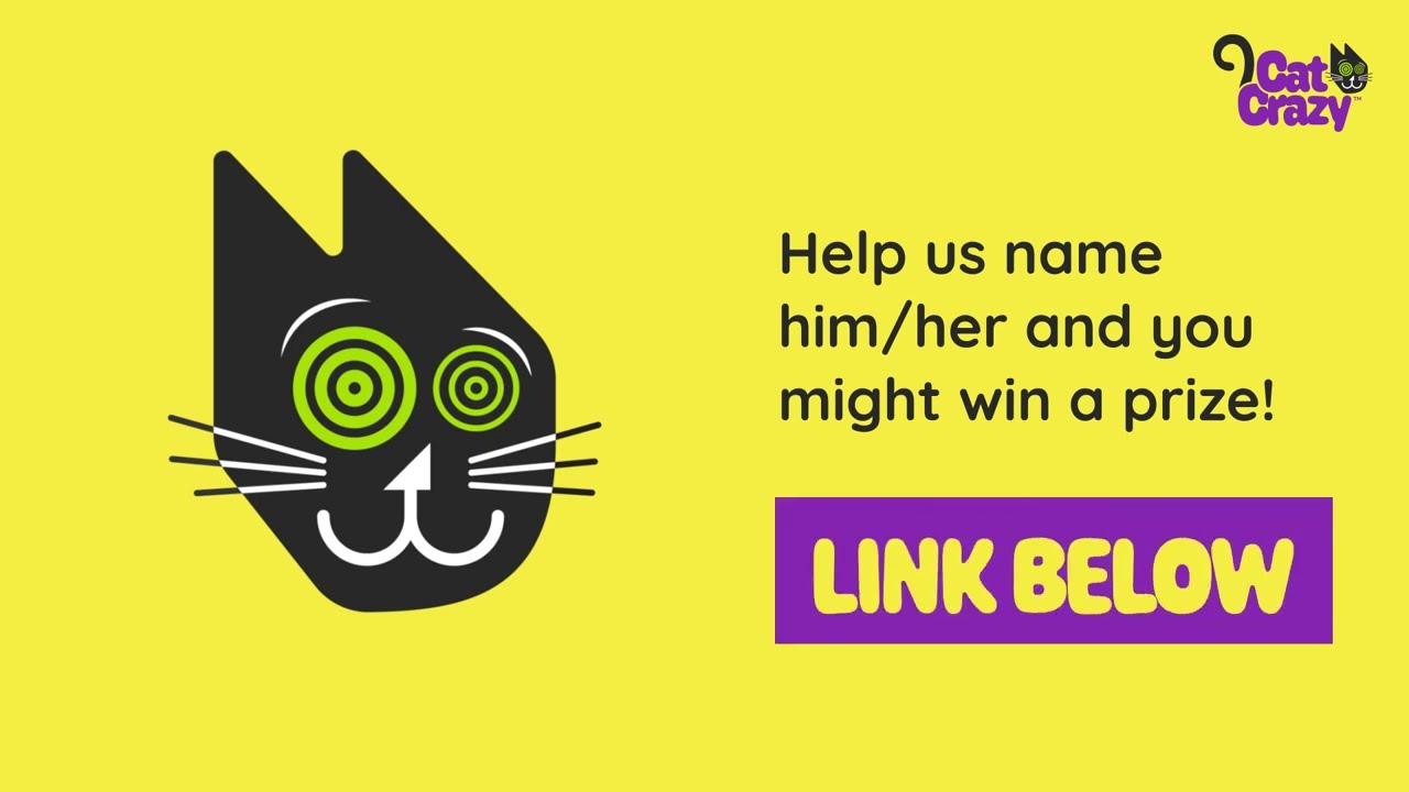 Help Us Find the Name Of Our Mascot!