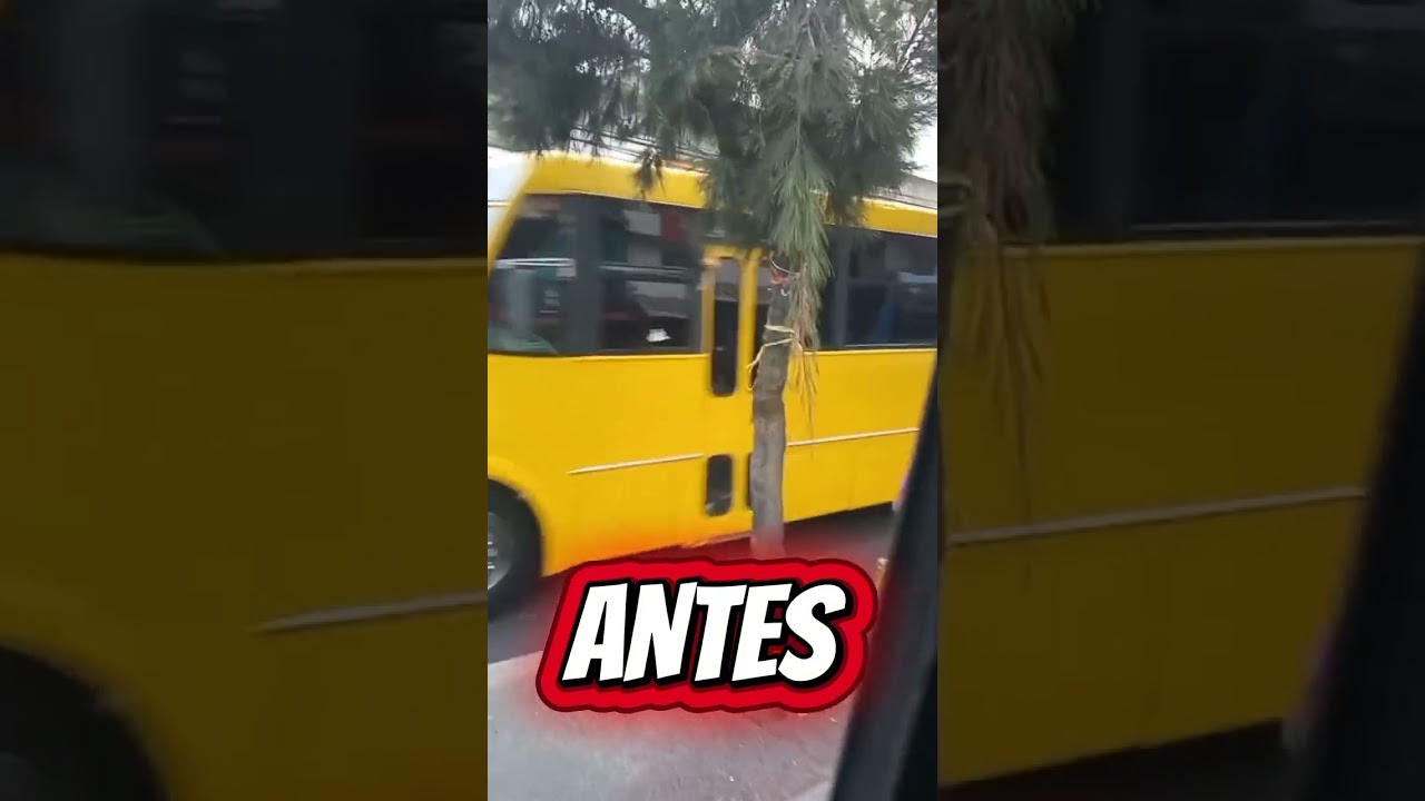 muros micros 