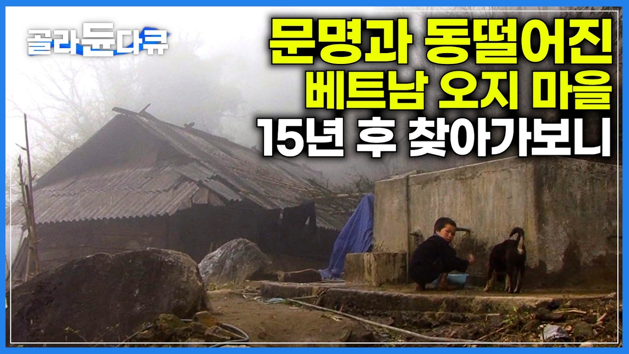 중국 국경에 자리잡은 베트남 오지마을 '사파'｜순수함만 가득했던 베트남 사람들이 문명을 접하자 15년 뒤｜놀라울 정도로 변한 사파의 근황｜세계테마기행｜#골라듄다큐