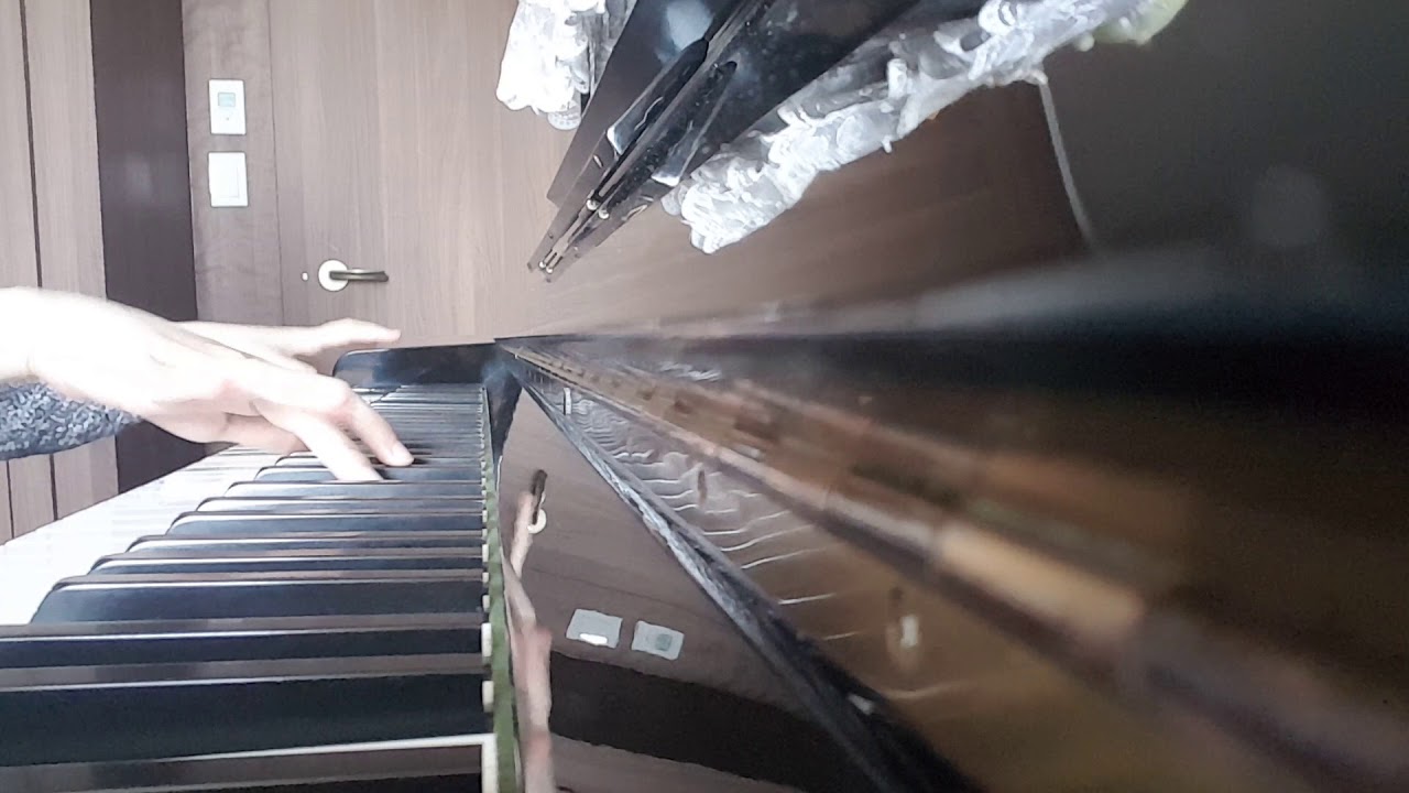 니세모노가타리 op- 백금디스코 피아노 커버 piano cover