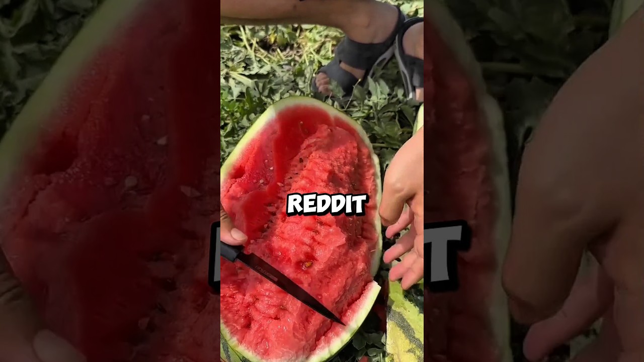 Я застал жену за изменой&hellip; Но ее причина меня шокировала #reddit #redditstories #story #emotional