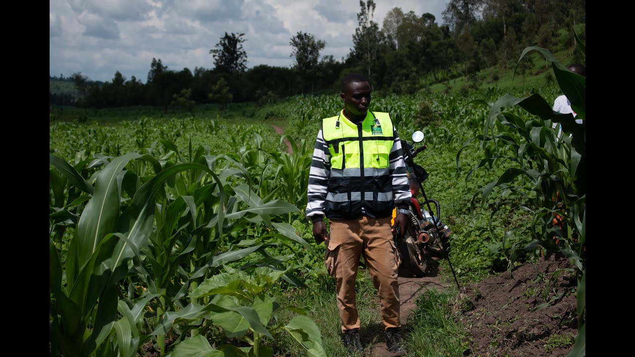 #KAYONZA  DORE SURE DEAL Y,UBUTAKA  NI BYUNGURA NIBWIZA  AMAFARANGA MAKE #UBUSO 8.000Sqm MILLIONS 11