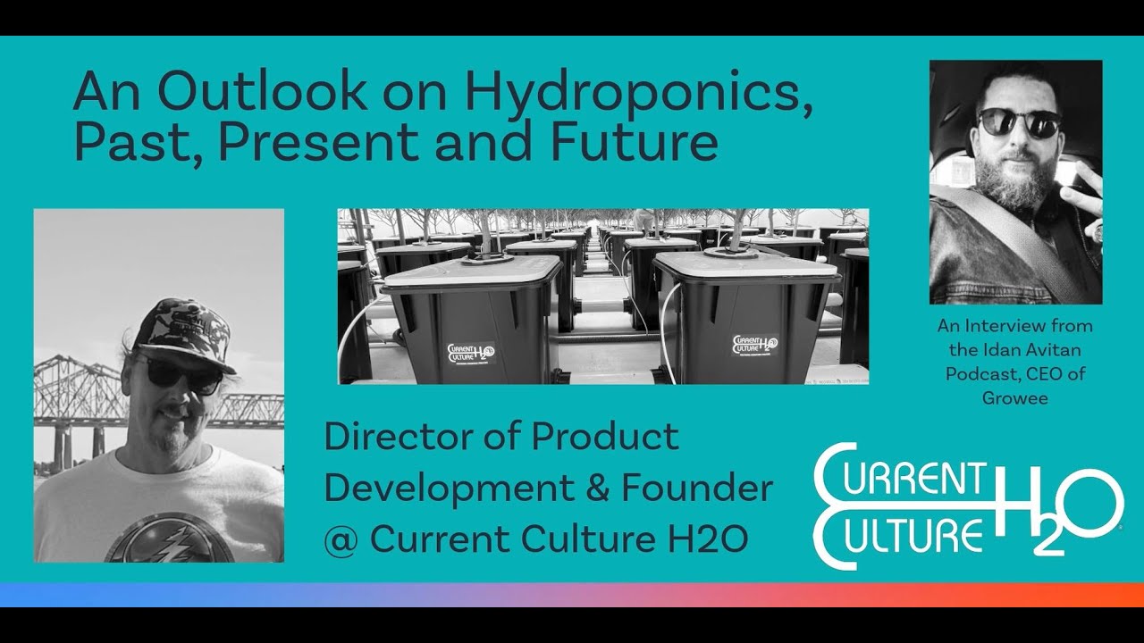 A conversation with Daniel Wilson - Director of Product Development & Founder of Current Culture H2O