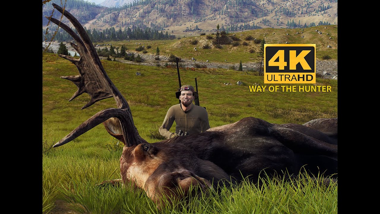 Way Of The Hunter-Alaska-Moose