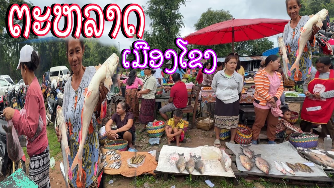 ຕະຫລາດເຊົ້າເມືອງໂຂງແຂວງຈຳປາສັກ/ตลาดเช้าเมืองโขงแขวงจำปาสัก/Morning market in Kong District