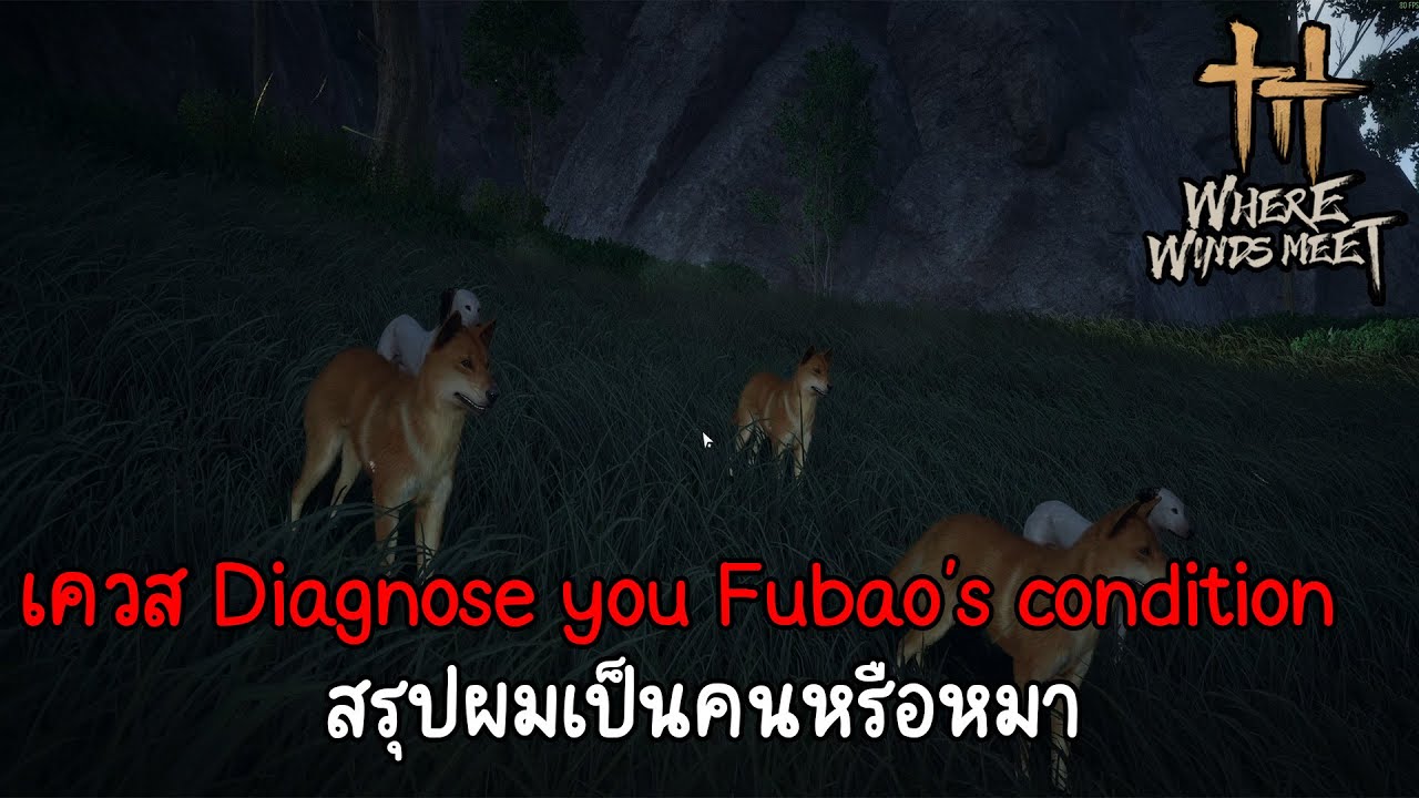 ตรวจโรคให้ Fubao's  Where winds meet