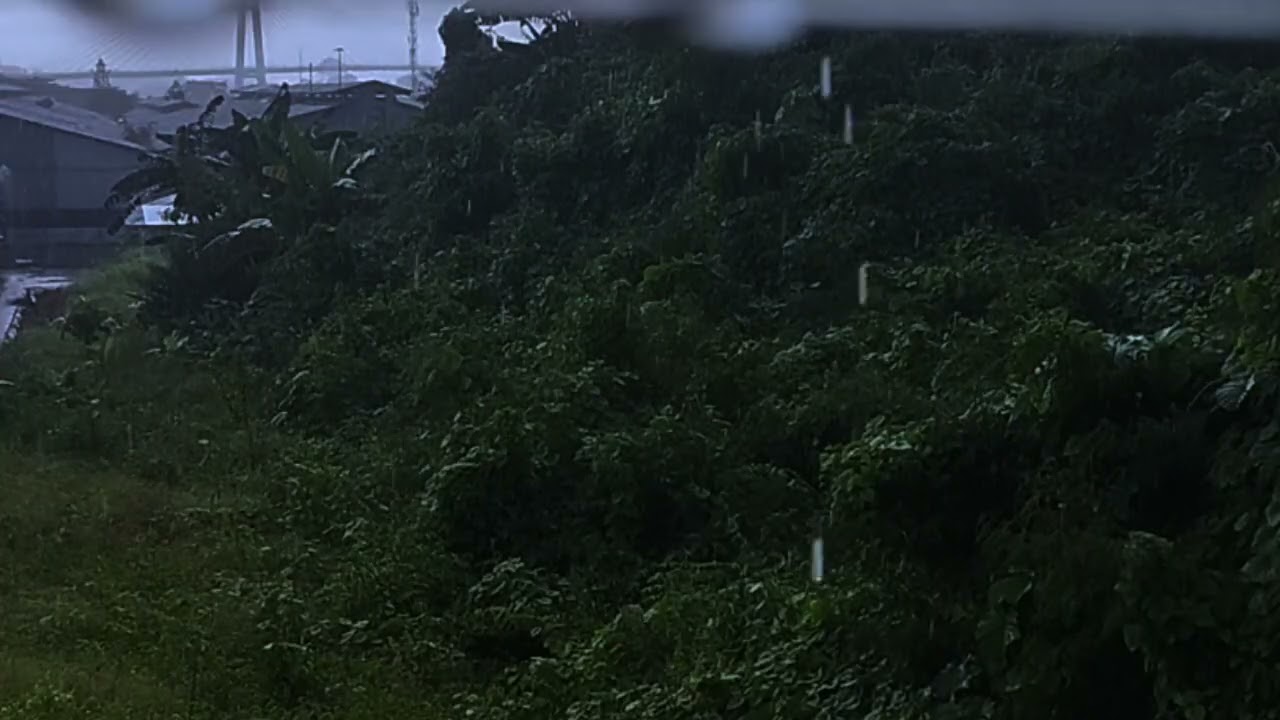 Night Rain Ambience for Seniors | Calm Mind, Restful Sleep