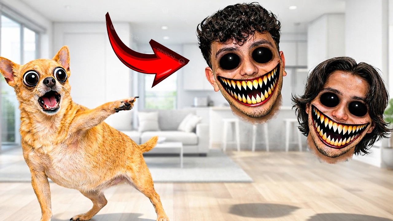 THESE AREN&rsquo;T MY OWNERS&hellip;