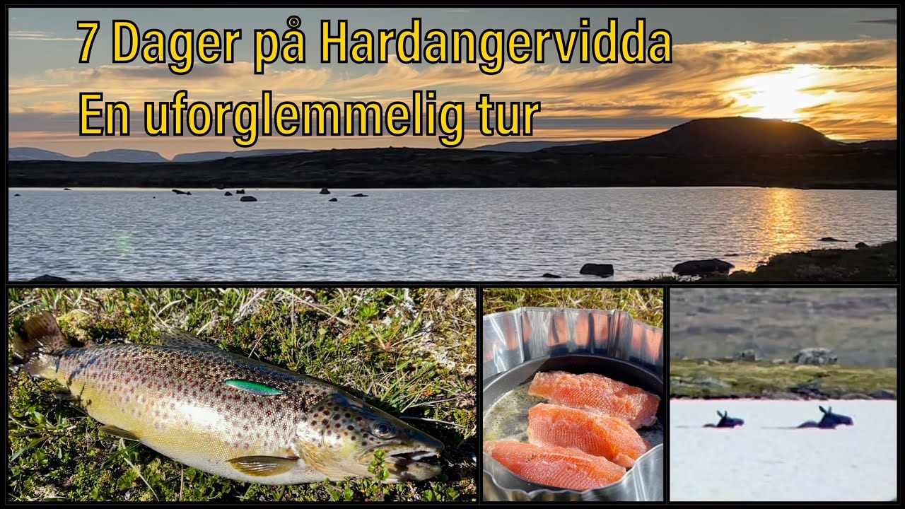 Hardangervidda + Fisketur = Sant