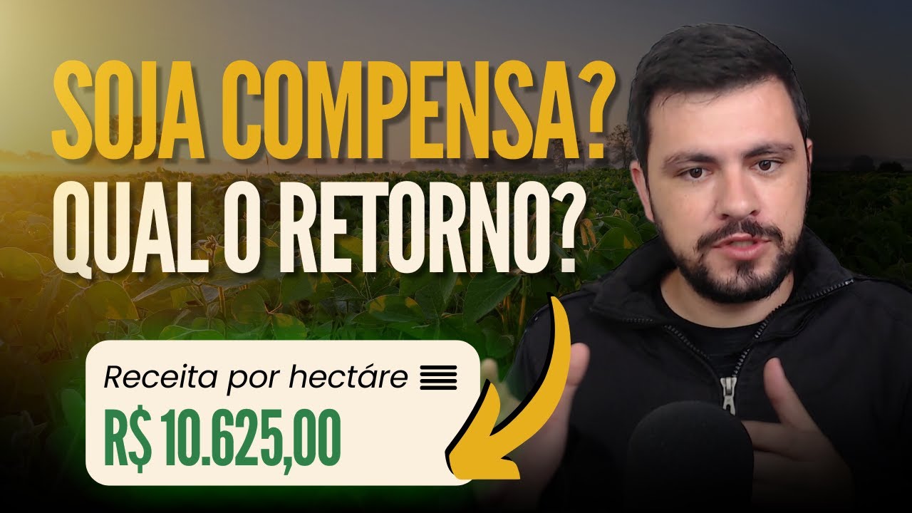 Quanto custa uma lavoura de SOJA? Possibilidade de Lucratividade