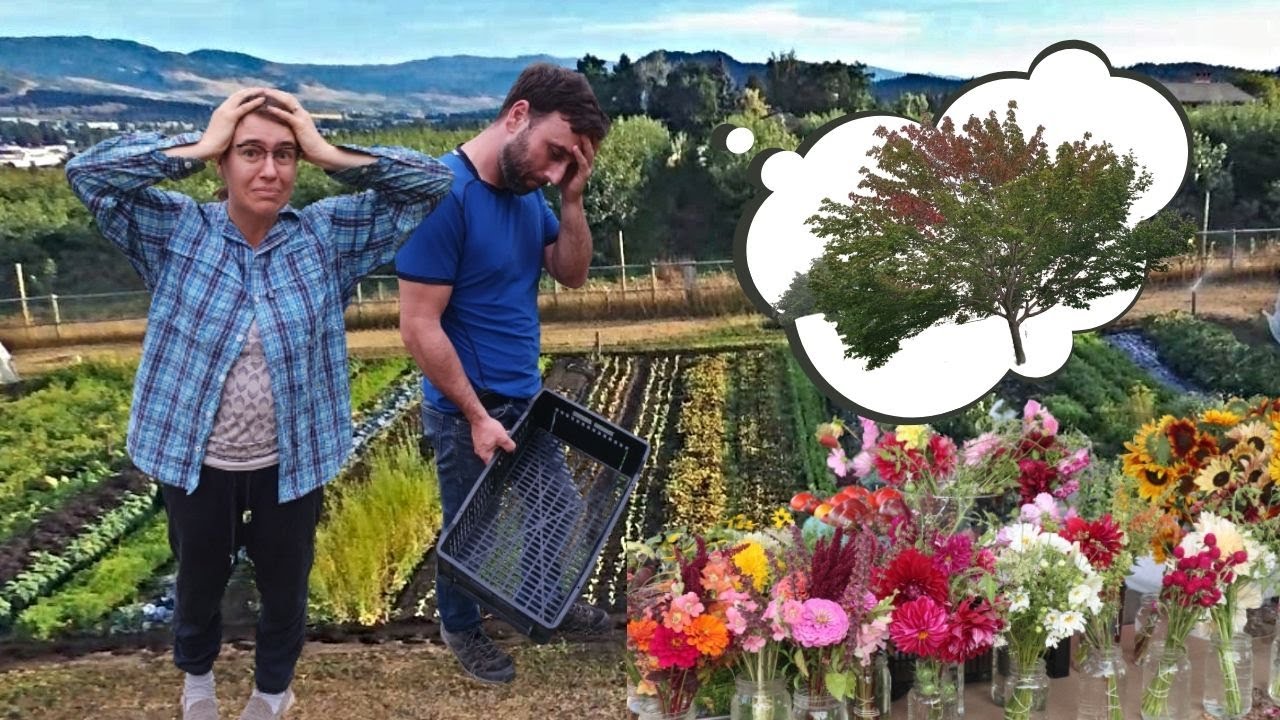 We Almost Didn't Make It! -  Burntout Harvest Day