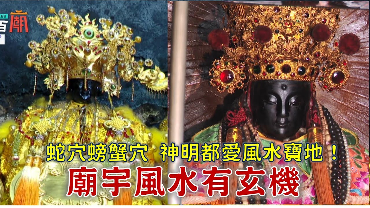 好玄！紫南宮求財旺，秘密就在廟後方？為什麼神明很愛左營蓮池潭？ 神界紛爭的調停者，也住靈穴上!? 台灣百廟2025/02/16-竹山紫南宮(福德正神)+左營元帝廟(玄天上帝)+赤山龍湖巖(觀音佛祖)