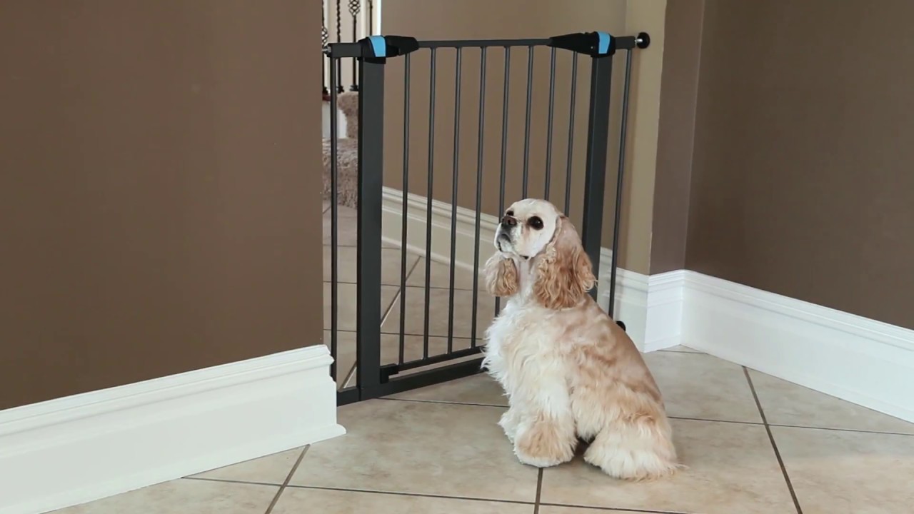 Steel Pet Gates with Glow in the Dark from MidWest Homes for Pets