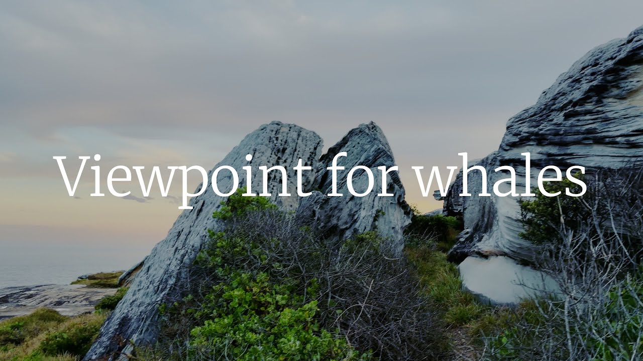 [4K] Viewpoint for whale Sydney | Ambient Hiking with Ocean Waves & Nature Sounds