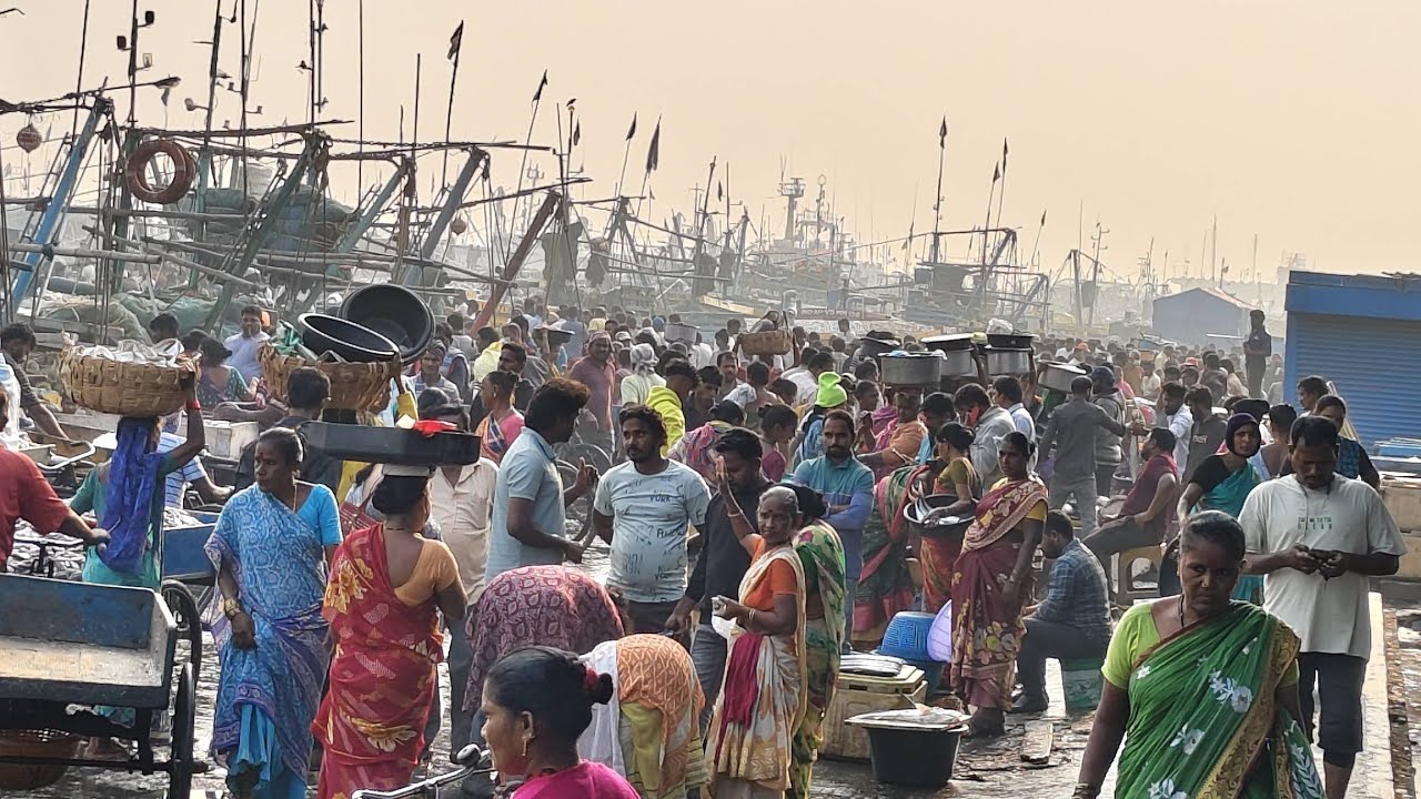 Vizag fishing harbour Wednesday morning live market 17/12/2025
