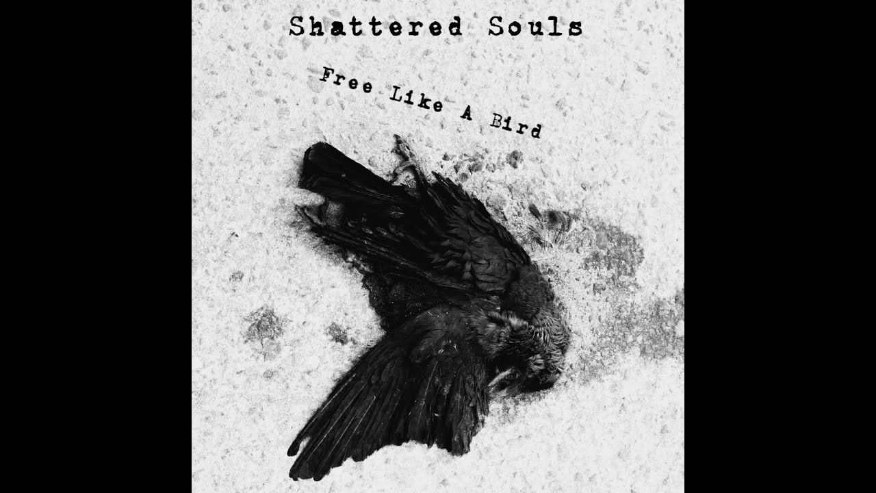 Shattered Souls - A Soul With No Past Life
