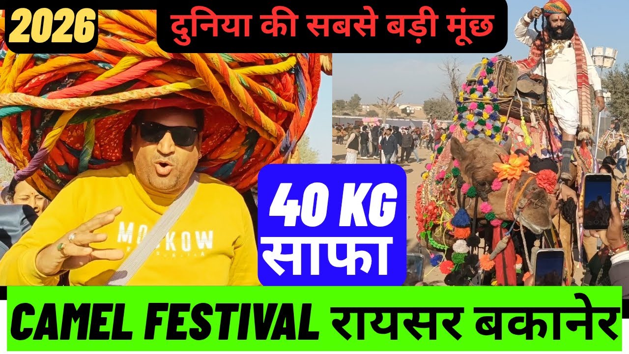 Bikaner Camel Festival 2026 Day 3: रायसर के धोरों पर शानदार समापन! 🐪✨