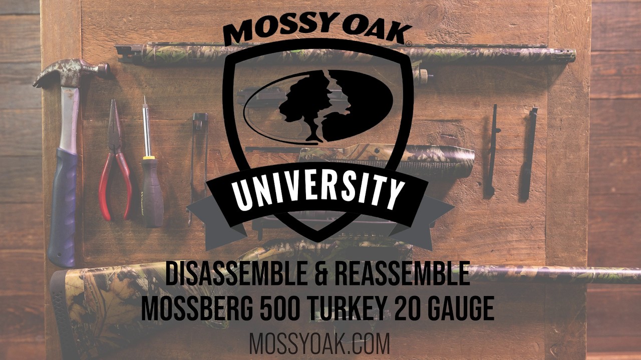 Руководство по разборке ружья Mossberg 500 Turkey 20 Gauge