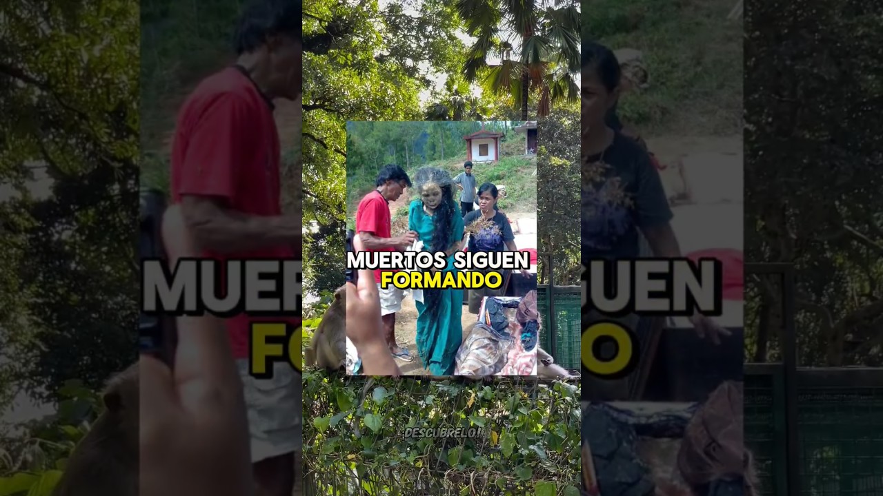 DESENTIERRAN A LOS MUERT0S 🇮🇩 INDONESIA #datoscuriosos #curiosidades