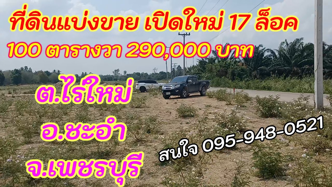 เปิดขายแปลงใหม่ 17 ล็อคที่ดินแบ่งขาย 100 ตารางวา 290,000 บาทตำบลไร่ใหม่อำเภอชะอำจังหวัดเพชรบุรี
