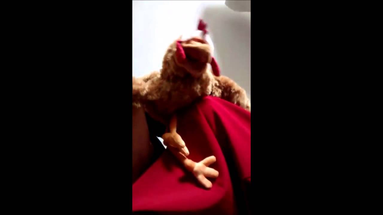 Partyhuhn