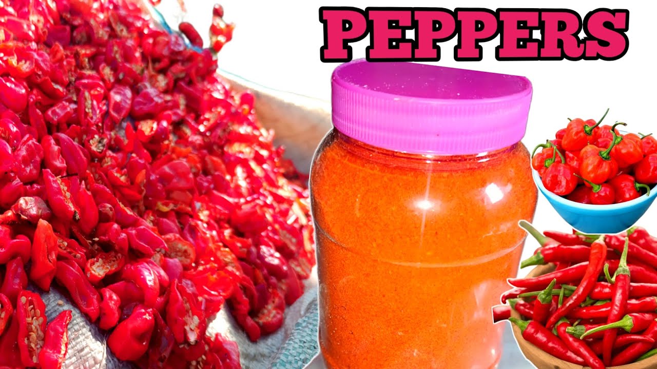 How to make grinded peppers 🌶️ 🌶️ at Home// pepper preservation methods