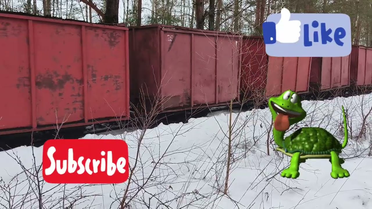 Kolej wąskotorowa @ŻołwikVWT4 