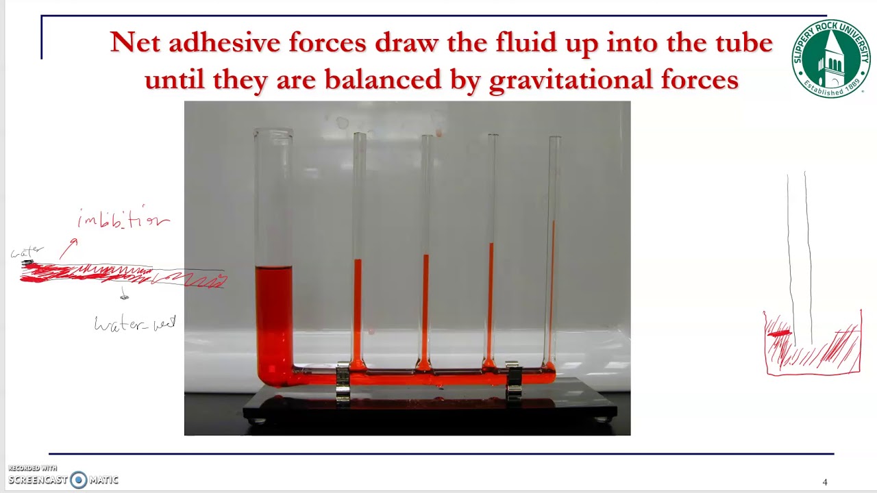 17 capillary pressure