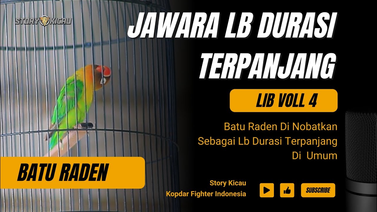 DURASI TERPANJANG‼️LOVE BIRD BATU RADEN BUAT ULAH DI LIB VOLL4