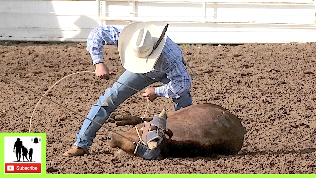 Open Steer Roping 1st Go Part 2🐂 2024 Spicer Gripp Memorial Roping