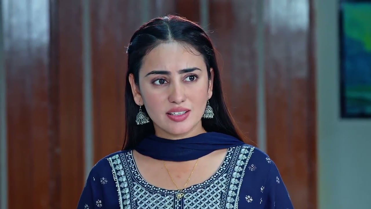 Sehajveer - Full Ep - 339 - Sehajveer, Kabir - Zee Punjabi