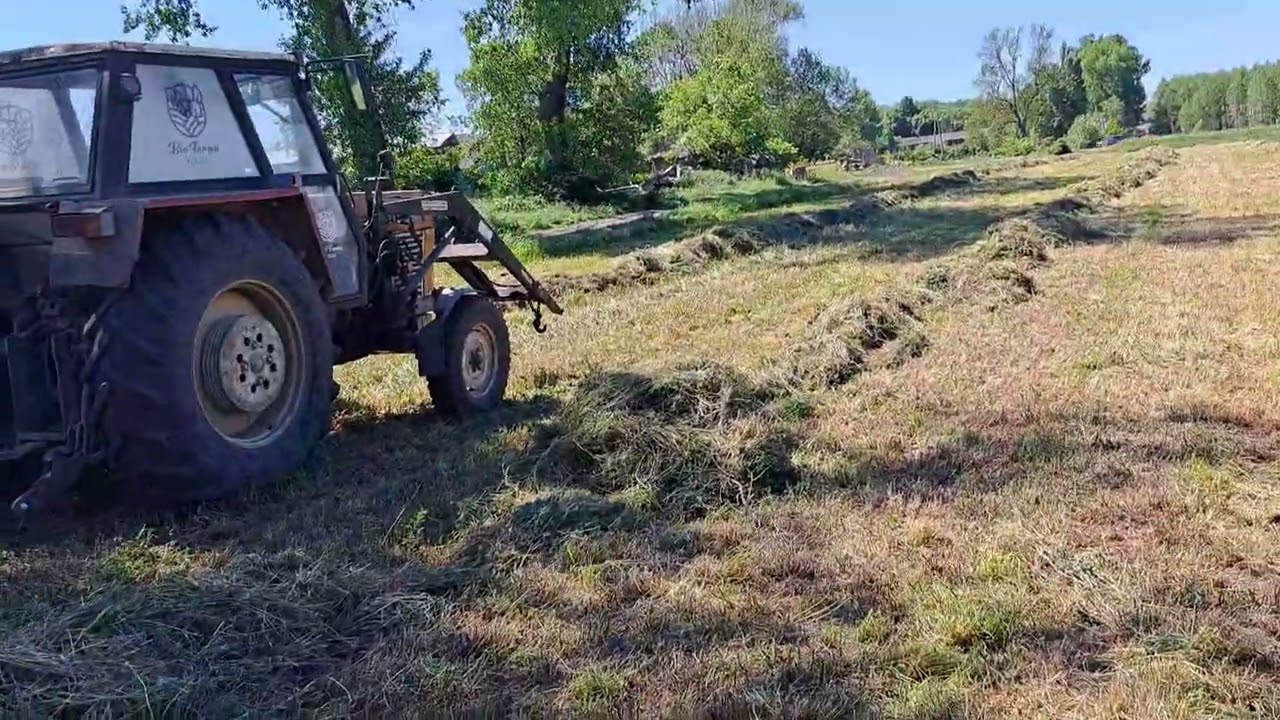 Siano czy Sianokiszonka ? Siano z Lucerny cz.4 # 324