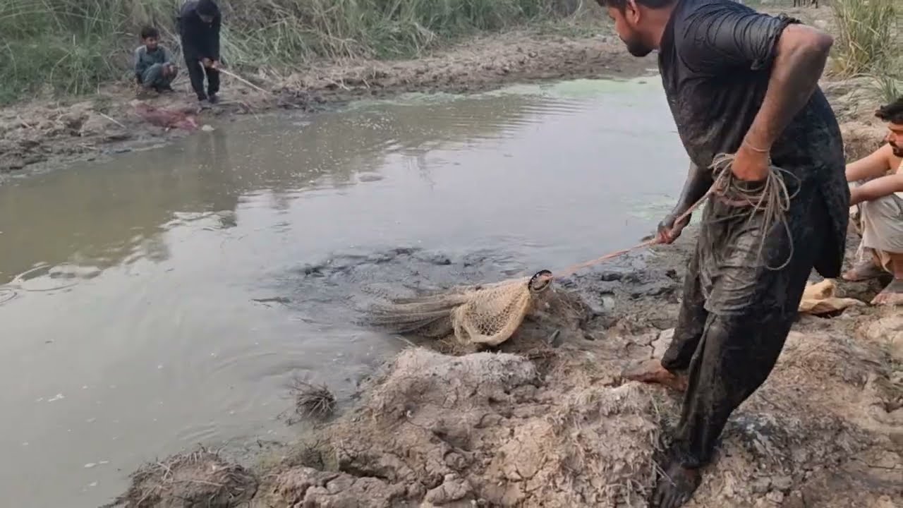 Gulfarm Fish Hunting l Fishing in Pakistan l 4K Result 