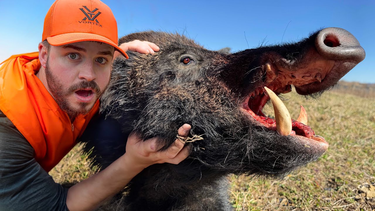 Hunting the BIGGEST Wild Boar of My Life!