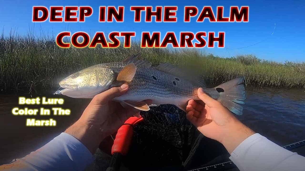 Exploring Florida Marsh: In Tough Fishing Conditions: Bings Landing kayak fishing