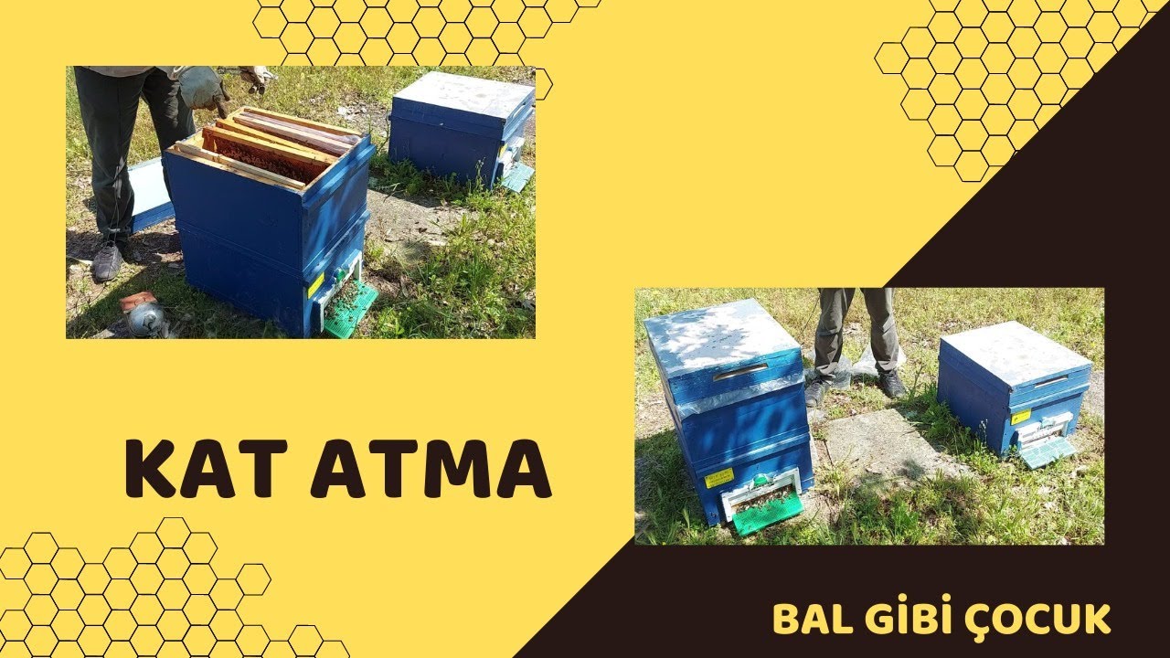 KAT ATMA