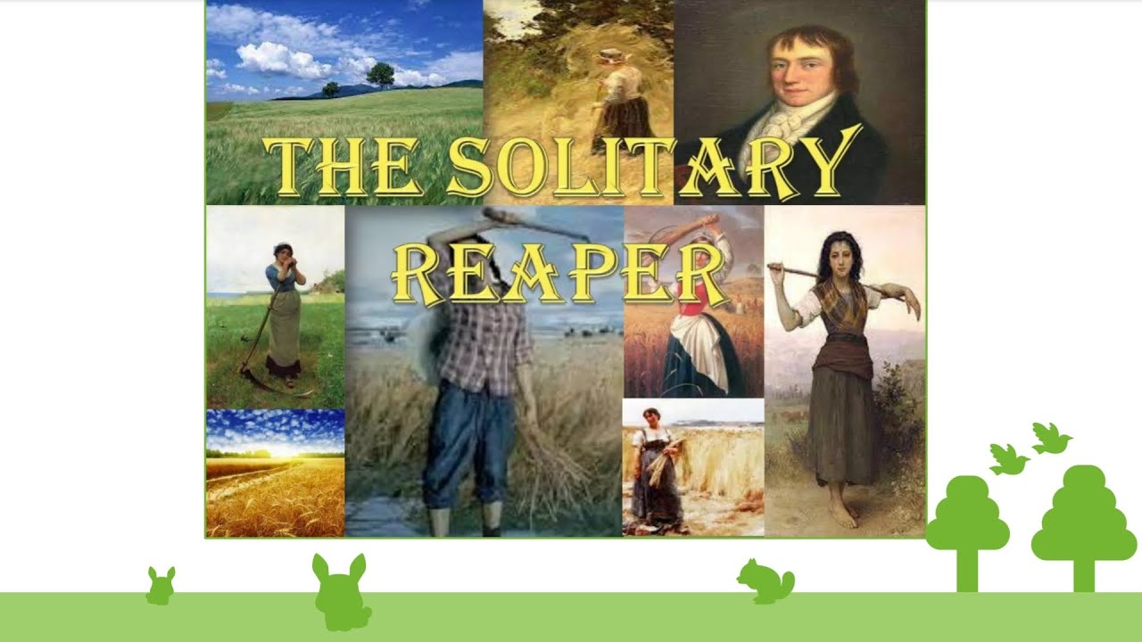 The Solitary Reaper poem explanation stanza 4 part 3 || TGT, PGT English UGC NET English topic 