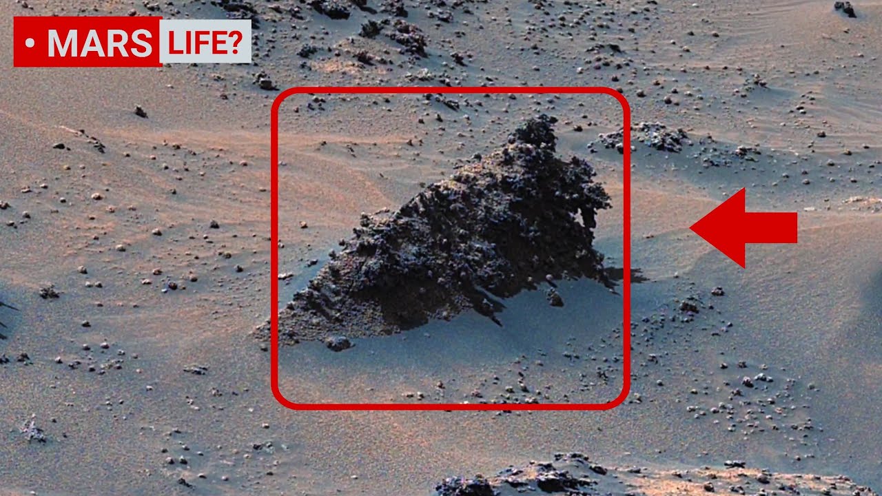 Mars' Rover Captured most Remarkable Footage of Mars Bolivar hill! Perseverance & Curiosity 4K mars