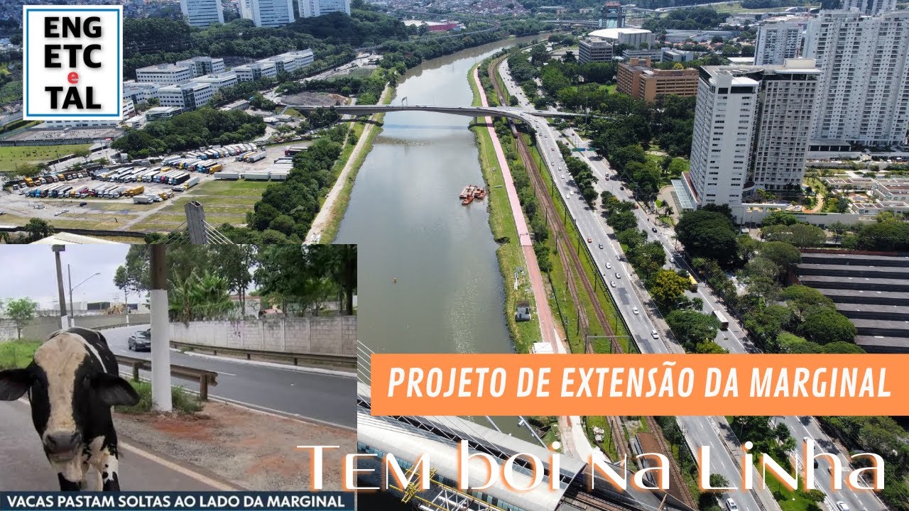 MARGINAL, PROJETO DE EXTENSÃO | TRANSITO, DESAFIOS E BOI NA VIA...