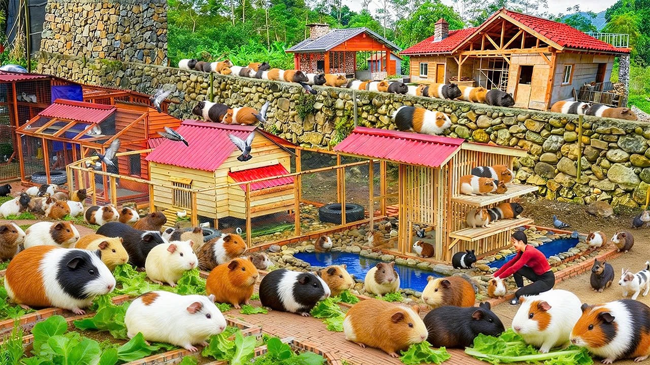 DIY Guinea Pig House - Building a Creative Brick Animal Shelter | Nhi Build Life