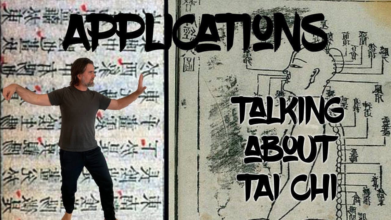 application:  single whip ( Yangjia Michuan Taijiquan)
