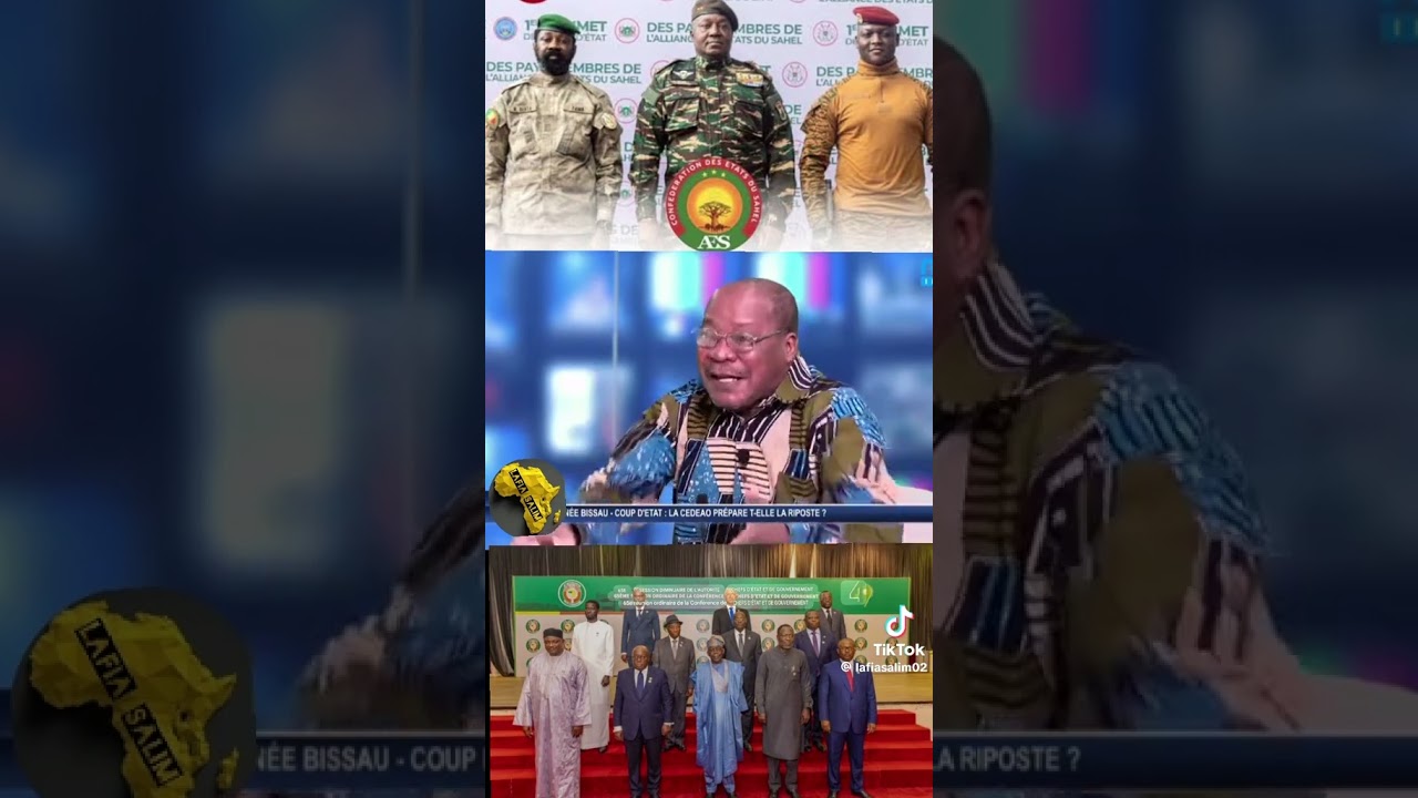AFRIQUE ET CEDEAO  #afrique #politique #fran&ccedil;ais #mali #burkinafaso #niger #guinee #cedeao